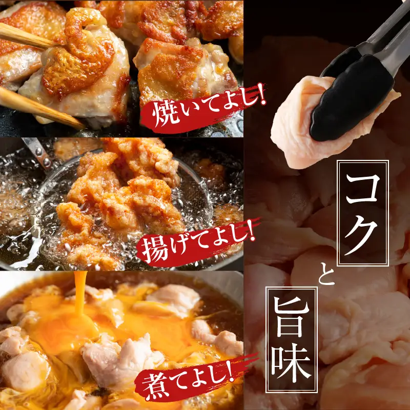 宮崎県産若鶏モモ肉切身＆炭火焼セット(合計2.25kg) 鶏肉 加工品 国産_T017-0035