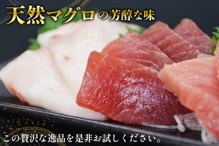 北かつのマグロ 中トロセット まぐろ まぐろ まぐろ [北かつ商事 宮城県 気仙沼市 20563599]