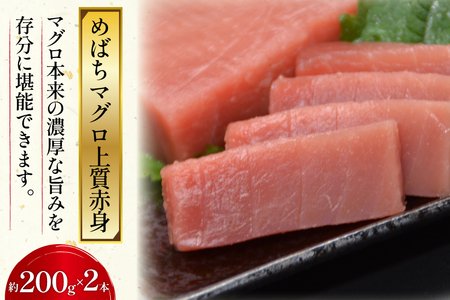 北かつのマグロ上質セット (マグロ中トロ 200g マグロ上質赤身 200g×2 メカジキ 200g びんちょう 200g）合計1kg [北かつ商事 宮城県 気仙沼市 20563511]