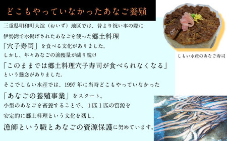 あなごの開き 穴子 あなご アナゴ 生 冷蔵 養殖 すし 寿司 刺身 白焼き 天ぷら 煮物 かば焼き 限定 旨味 ふわふわ I7