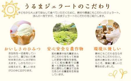 うるまジェラートギフトカード（3000円分）
