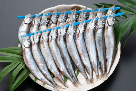 ししゃも 子持ち カラフトシシャモ 特大 40尾（20尾×2箱） 子持ちシシャモ カラフトししゃも 大洗_AV001