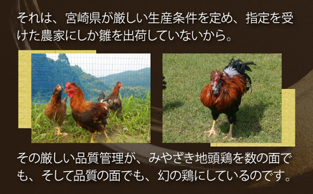 ＜認定農家直送＞のびのびと育てたみやざき地頭鶏の生肉セット(合計1kg・モモ肉300g×2P、ムネ肉200g×2P)_K014-002