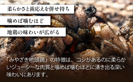 ＜認定農家直送＞のびのびと育てたみやざき地頭鶏の炭火焼き(計500g・100g×5P)_K014-001