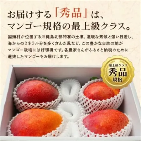【2026年6月から順次発送】秀品アーウィンマンゴー1kg(2～3玉)【配送不可地域：離島】【1577567】