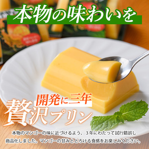 マンゴースイーツ マンゴー農家の贅沢マンゴープリン9個入 マンゴーの森 IB040-005 マンゴープリン マンゴープリン