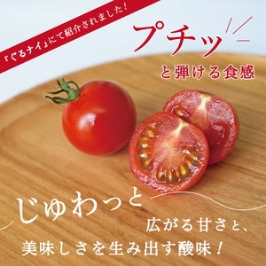 フルーツトマト「FUJITOMA」ボックスセット ミニトマト 野菜 フルーツ 高糖度 