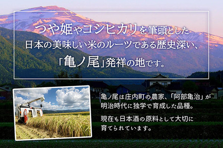 山形県産 ちょいまんま 3種食べ比べ 2合（300g）×70袋セット つや姫 はえぬき 雪若丸 ブランド米 無洗米 白米 使い切り 手軽