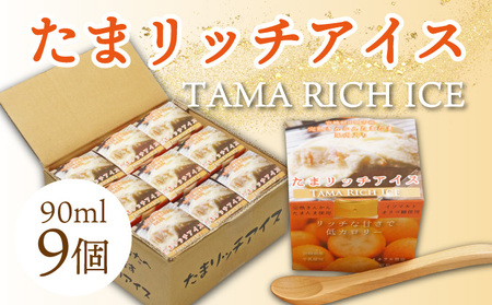串間市産きんかんたまたま使用！たまリッチアイス詰合せ(9個)_K004-002