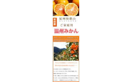 【先行予約】【ご家庭用訳あり】紀州和歌山有田産温州みかん5kg