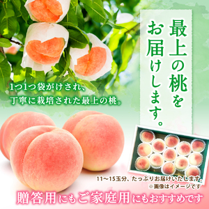桃 白桃 11～15玉入り 秀品【2026年6月下旬から7月中旬ごろ発送】【S96001-mtgn045】