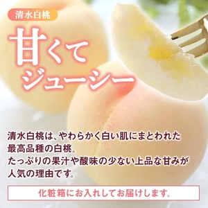 桃   清水白桃 5～8玉入り 秀品【S96021-mtgn065A】