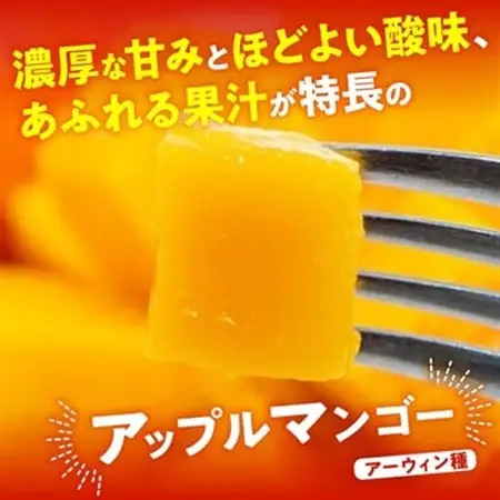 【2026年7月から順次発送・優品】燦々マンゴー1.0kg(2～3玉)_マンゴー_【1619776】