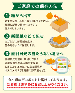 S053-003A_天草産 デコポン 5kg〈先行予約〉 / デコポン 柑橘 みかん フルーツ