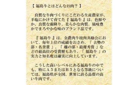 No.0996　最高級　黒毛和牛 サーロインステーキ 600g  特選福島牛A5～A4等級