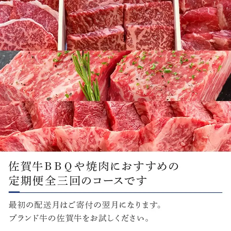 「定期便全3回」 佐賀牛 BBQや焼肉好きな方におすすめ 寄附翌月から発送 6種盛360g モモブロック800g ヒレ300g (合計1.46kg) A5～A4等級 ギフト 贈り物 アウトドア
