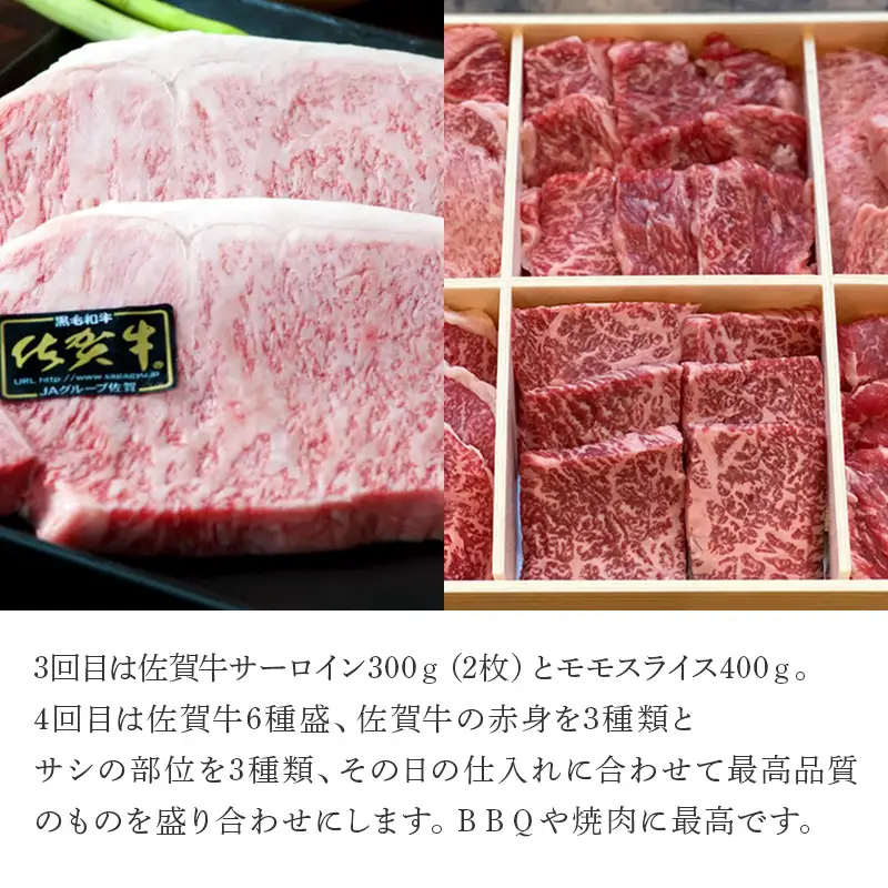 「定期便全6回」 佐賀牛 プレミアム定期便 寄附翌月から発送 A5～A4等級 ギフト 贈り物