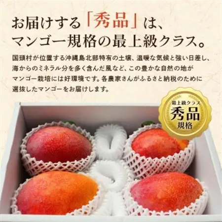 【2026年6月から順次発送】秀品アーウィンマンゴー2kg(3～6玉)【配送不可地域：離島】【1584606】