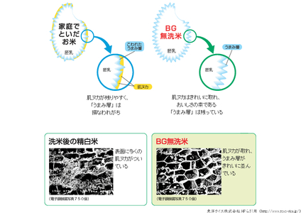 BG無洗米コシヒカリ 5kg×3回 定期便【隔月】【令和7年産 2ヶ月に1回 配送 6ヶ月 計15kg 半年間 島根県産 愛を米 米 こしひかり 新生活応援 お試し 節水 時短 アウトドア キャンプ 東洋ライス おすすめ 島根県 安来市】【45-SS-16】