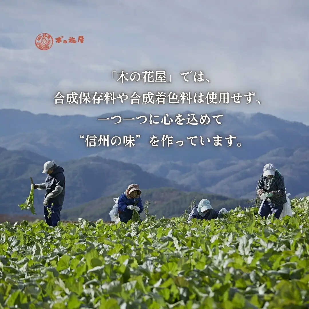なめ茸 人気3種セット (160g×各1本) |なめ茸