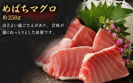 天然マグロ 3種 約750g 【まぐろ】ge002