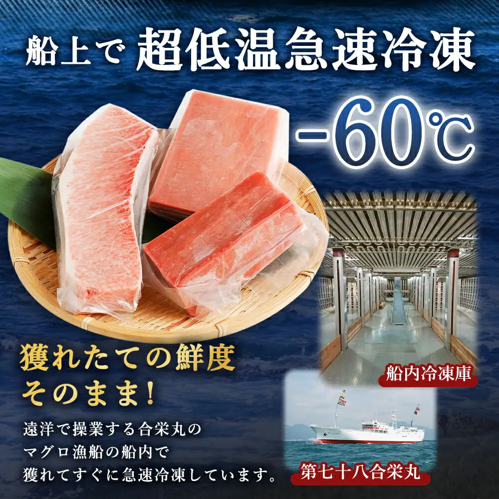 まぐろ 3種類 600g まぐろ