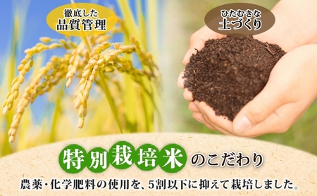 定期便 6ヵ月 北海道 特別栽培 令和7年産 ななつぼし 5kg 精米 米 白米 お米  ごはん ご飯 ライス 道産米 ブランド米 新しのつ米 ふっくら 食味ランキング  産地直送 カワサキ森田屋 お取り寄せ  送料無料