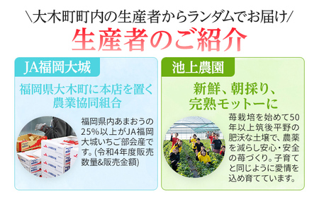 いちご あまおう 約270g×4パック 計1080g 【2027年1月～4月に順次出荷予定】いちご CB223