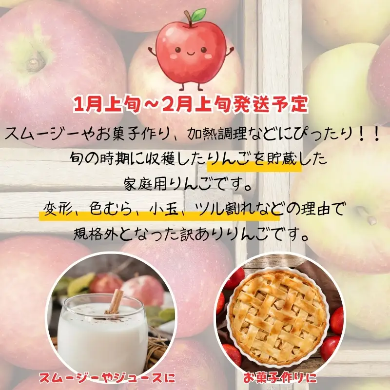 No.2064 りんご「サンふじ」家庭用 約3kg【2027年１月より発送】