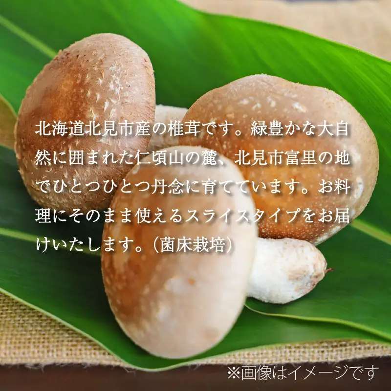 乾しいたけスライス ( しいたけ 椎茸 シイタケ きのこ キノコ 乾燥 スライス )【038-0010】