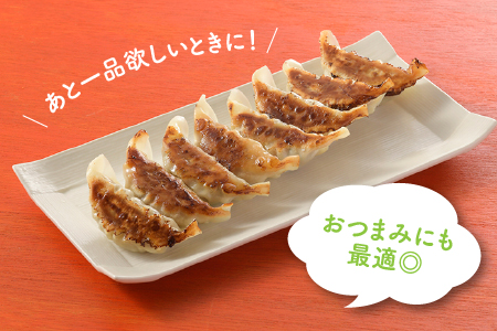 AB285.【創業40年の老舗が誇る味わい】博多餃子１２０個