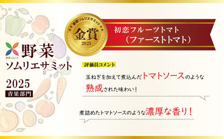 【お試し】たった3ヶ月しか食べられない 幻のファーストトマト H004-182