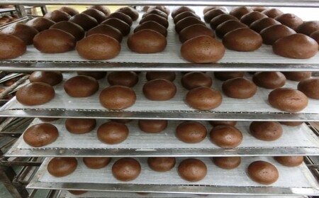 創業100年以上の老舗職人がこだわった一品 かりんと饅頭 15個入り お菓子 スイーツ 