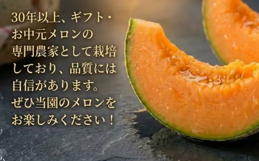 ＜2026年発送＞おいわけメロンパック 糖度16度以上 2.0kg以上×2玉(数量限定) メロン おいわけメロン 赤肉メロン 糖度 スイーツ デザート 果物 国産 北海道 安平町