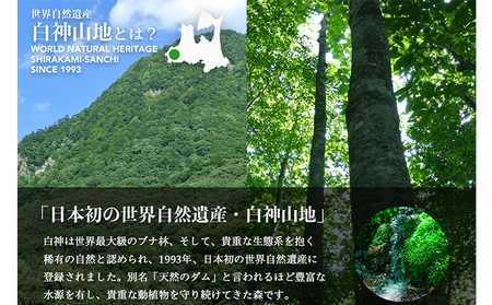 【定期便　年4回お届け！！】白神山地の水 500ml×24本