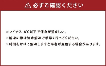 天草産 活 〆冷凍 車海老 250g×4パック （28～40尾入り）【2025年11月上旬発送開始】 えび エビ 海老 車エビ 車えび 熊本県 上天草市