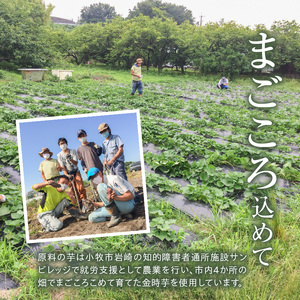 本格芋焼酎『Sun』720ml 2本セット[041S01]