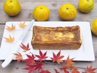 【ココでしか食べられない】柑橘じゃばらのチーズケーキ 3～4人分 【北山村オリジナル】【njb610】