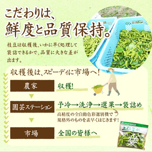 【先行予約】 令和8年産 枝豆 上杉まめ 250g × 8袋 計2kg 1箱 品種 おまかせ 2026年8月上旬～下旬頃 お届け予定 山形県 米沢市