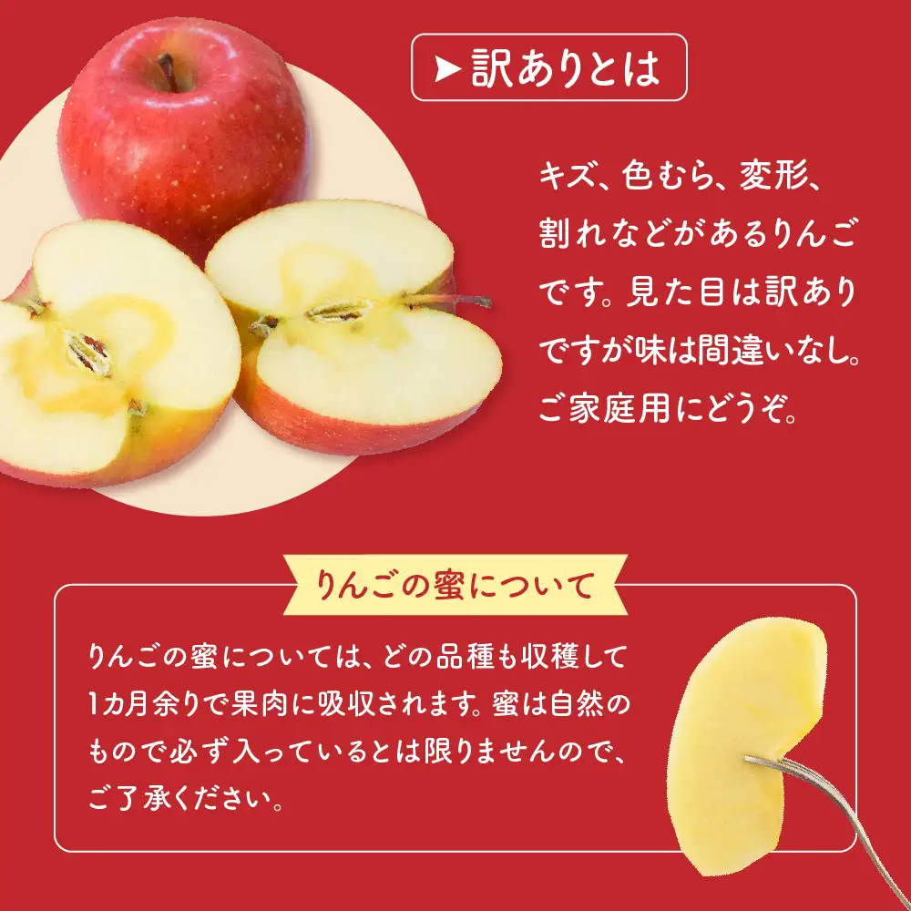 りんご 令和8年産 訳あり りんご サンふじ 約10kg