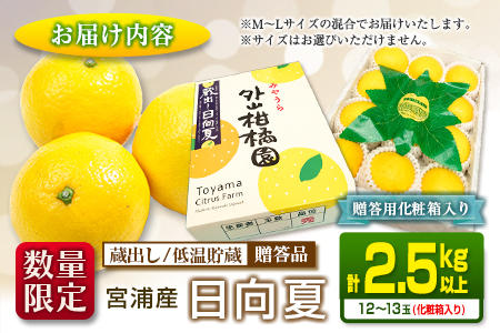 先行予約 宮浦産 蔵出し 日向夏 計2.5kg以上 化粧箱入り_BC130-25