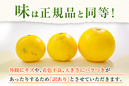 先行予約 訳あり 宮浦産 蔵出し 日向夏 計3kg以上_BC131-25