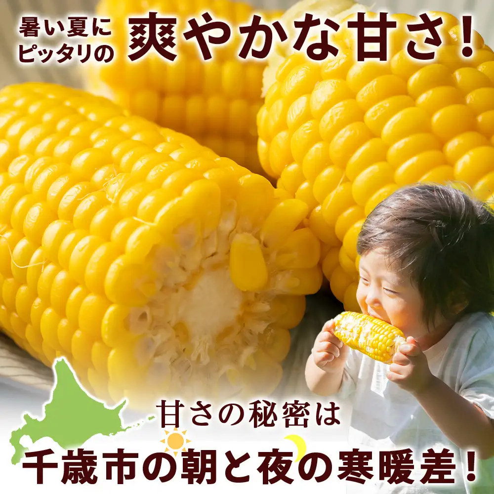2026年夏発送 とうもろこし ゴールドラッシュ L～2L 20本