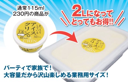 アイスクリーム業務用2L_菓子・スイーツ アイス・ジェラート _【ICE039】