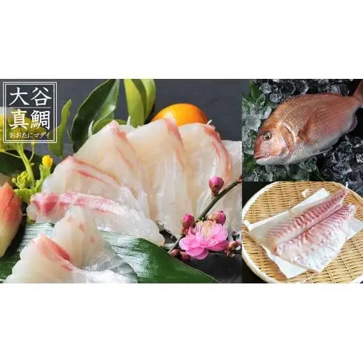 【ふるさと納税】高知の極上 勘八・真鯛 をご当地調味料「葉にんにくぬた」で味わう土佐食文化堪能セット