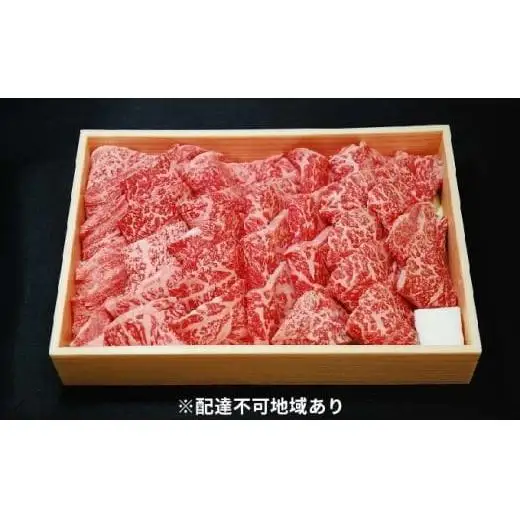 城谷牧場の神戸牛 ロース 焼肉 500g 国産牛 和牛 神戸ビーフ バーベキュー BBQ 冷凍