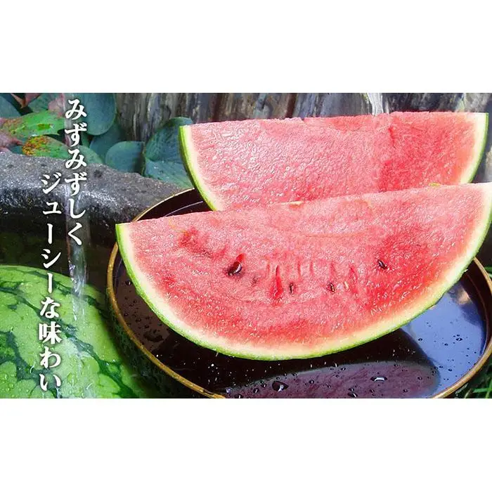 先行予約【高級】八色原すいか大玉２玉【2026年7月下旬発送】【お届け日時指定不可】
