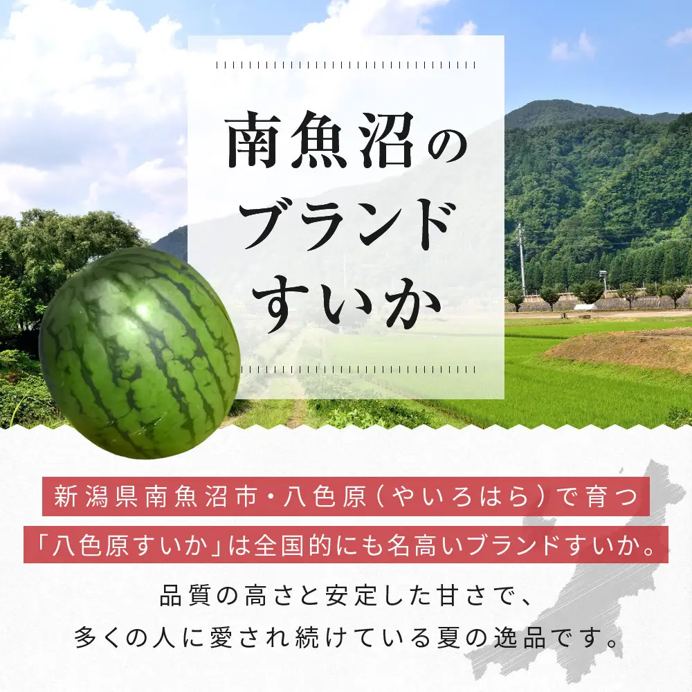先行予約【高級】八色原すいか小玉２玉【2026年7月中旬発送】【お届け日時指定不可】