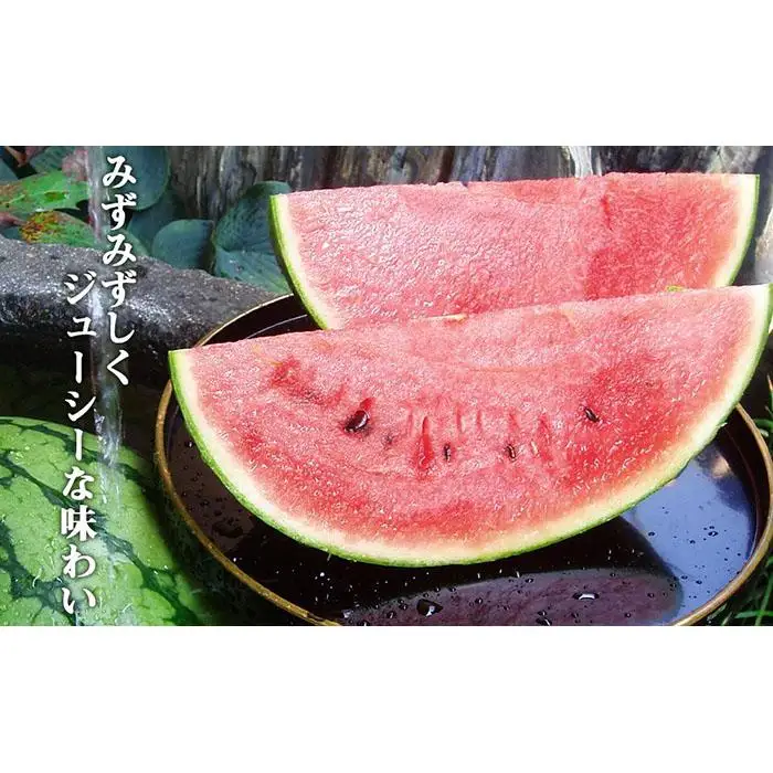 先行予約【高級】八色原すいか小玉４玉【2026年7月中旬発送】【お届け日時指定不可】