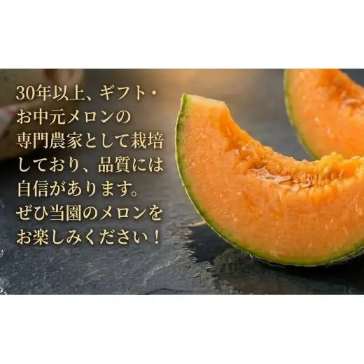 メロン ＜数量限定＞ おいわけメロン 糖度16度以上 1.4kg前後×3玉 赤肉 北海道 安平町産 【1137369】